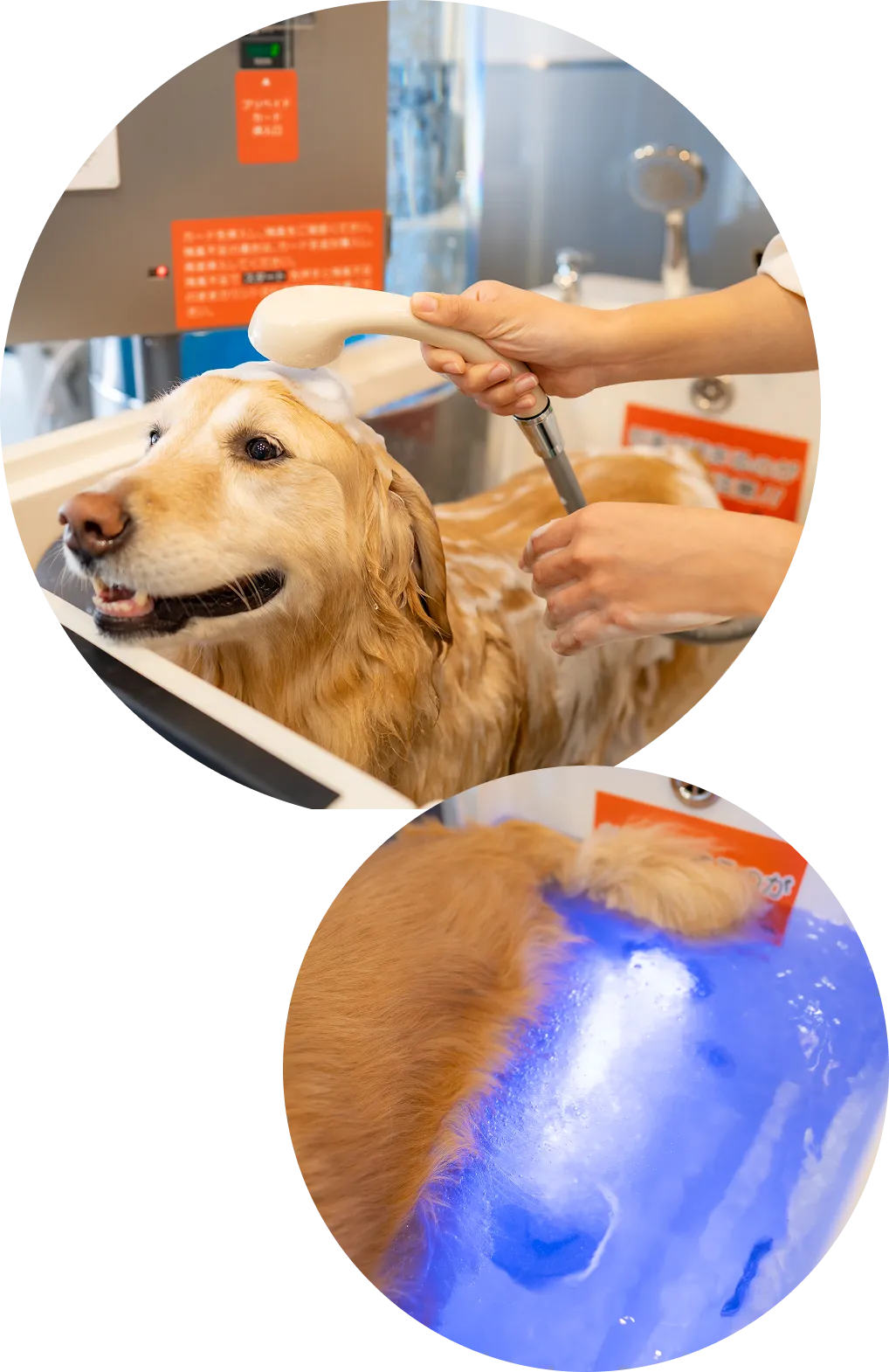 マイクロバブルバスのイメージ