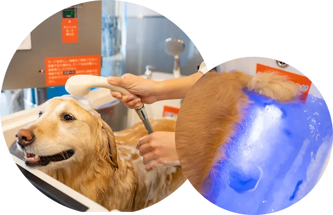 マイクロバブルバスのイメージ