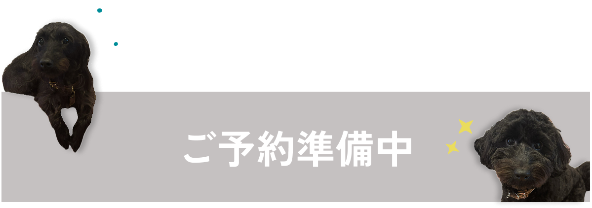 ご予約準備中