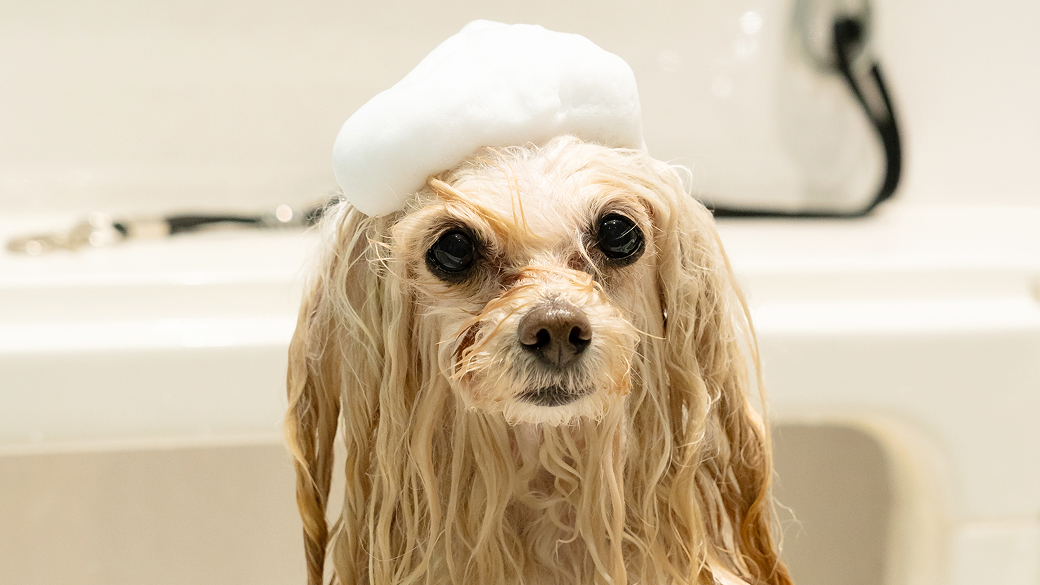 マイクロバブルバスとは？