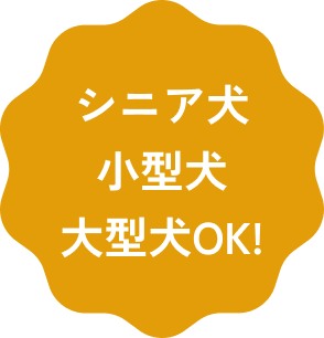 シニア犬小型犬大型犬OK!