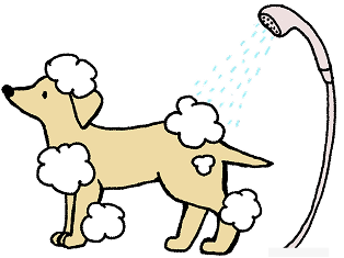 マイクロバブルバスイメージイラスト